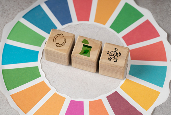 Creating value: alliances between companies from different sectors